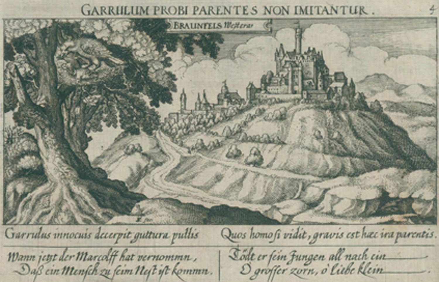 Große Abbildung Nr.1: 120-2134 Braunfels.: (Deutschland)