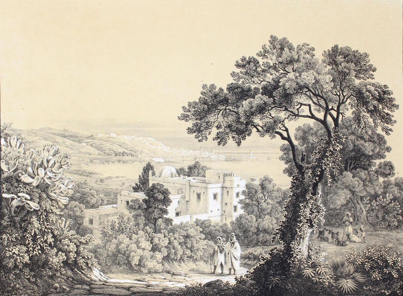 Große Abbildung Nr.2: 120-2292 Algerien.: (Ausland, Afrika)