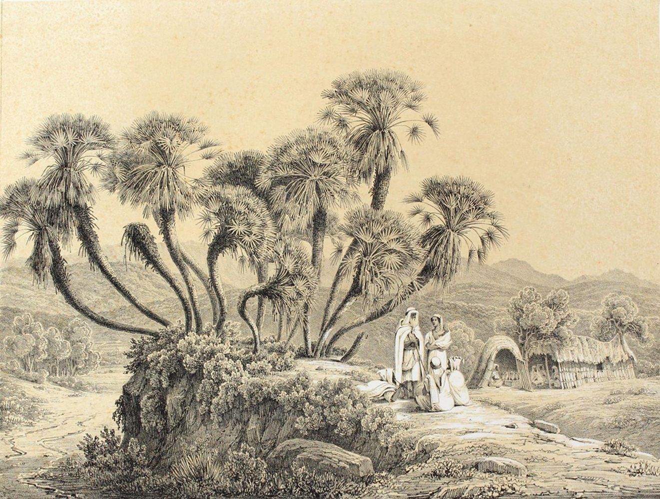 Große Abbildung Nr.4: 120-2292 Algerien.: (Ausland, Afrika)