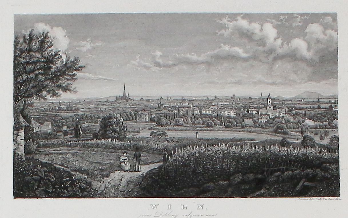 Große Abbildung Nr.2: 120-2463 Konvolut: (Ausland, Österreich, Wien)