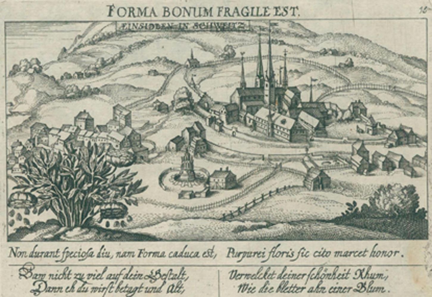 Große Abbildung Nr.1: 120-2482 Einsiedeln.: (Ausland, Schweiz)