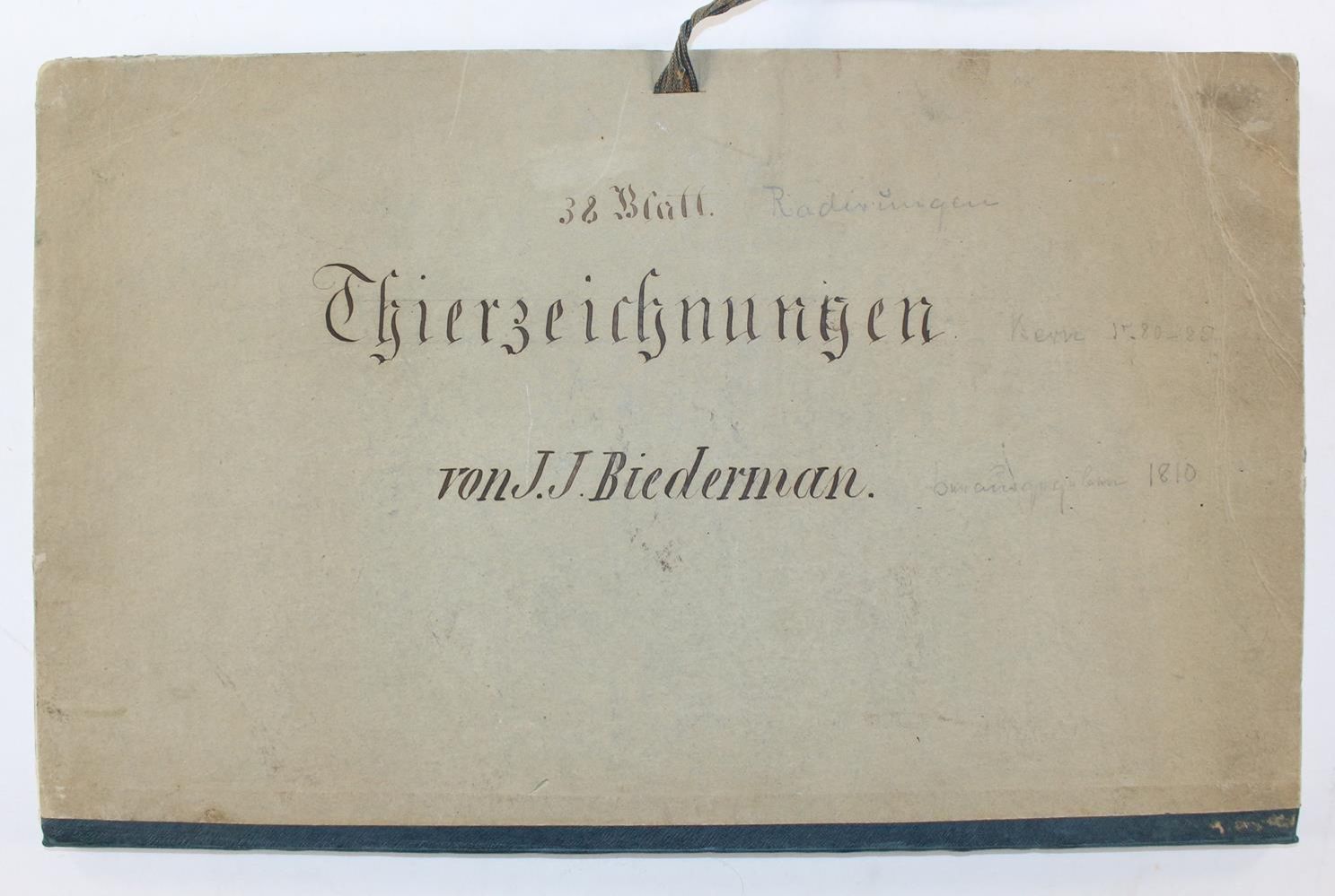 Große Abbildung Nr.3: 120-2631 Biedermann, Johann Jakob: (Künstlergraphik)