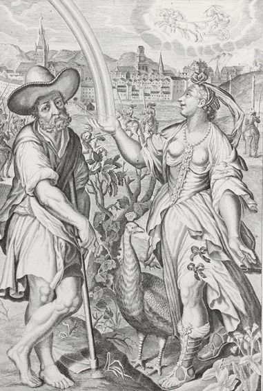 Große Abbildung Nr.1: 120-2696 Candid, Peter nach: (Künstlergraphik)
