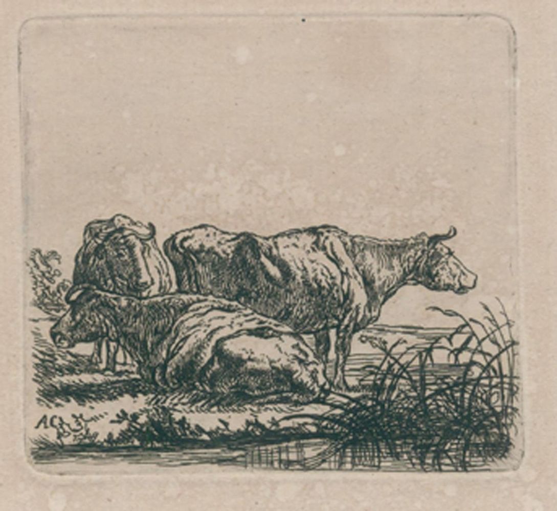Große Abbildung Nr.1: 120-2798 Cuyp, Aelbert Jacobsz.: (Künstlergraphik)
