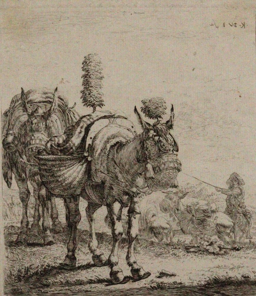 Große Abbildung Nr.1: 120-2847 Dujardin, Karel: (Künstlergraphik)