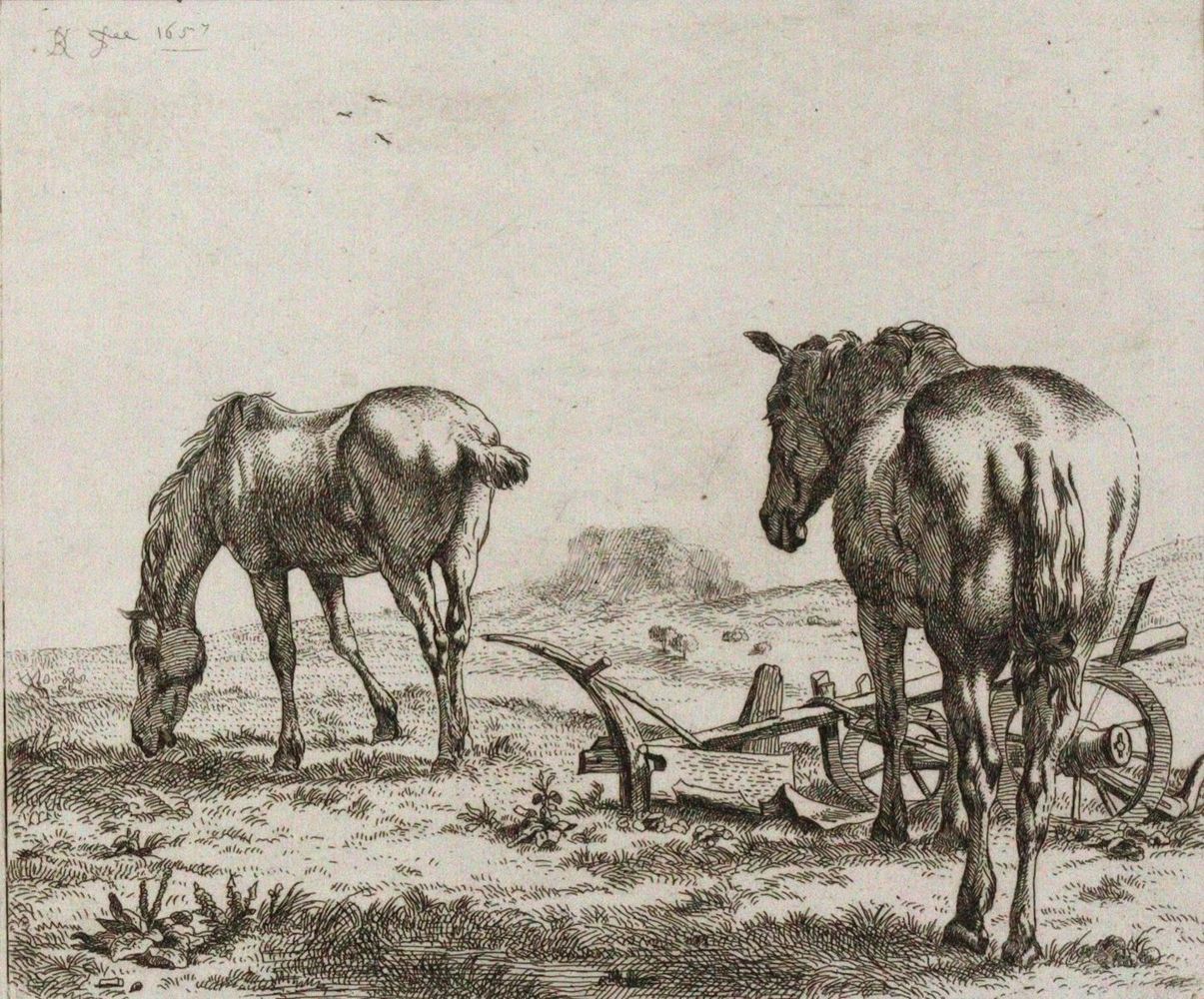 Große Abbildung Nr.1: 120-2851 Dujardin, Karel: (Künstlergraphik)