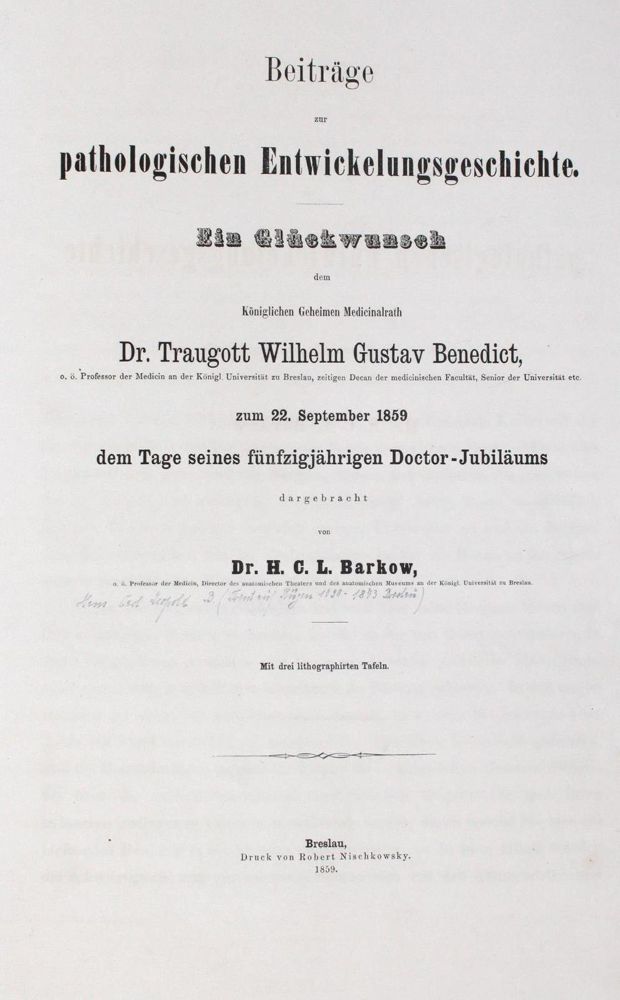 Große Abbildung Nr.21: 120-292 Konvolut: (Varia)