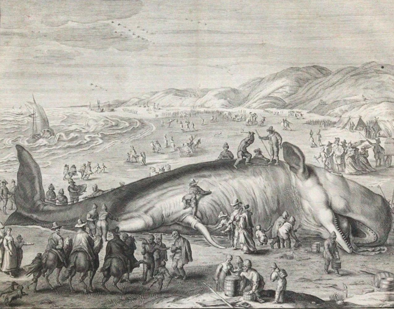 Große Abbildung Nr.1: 120-3004 Gouwen, Willem van der: (Künstlergraphik)