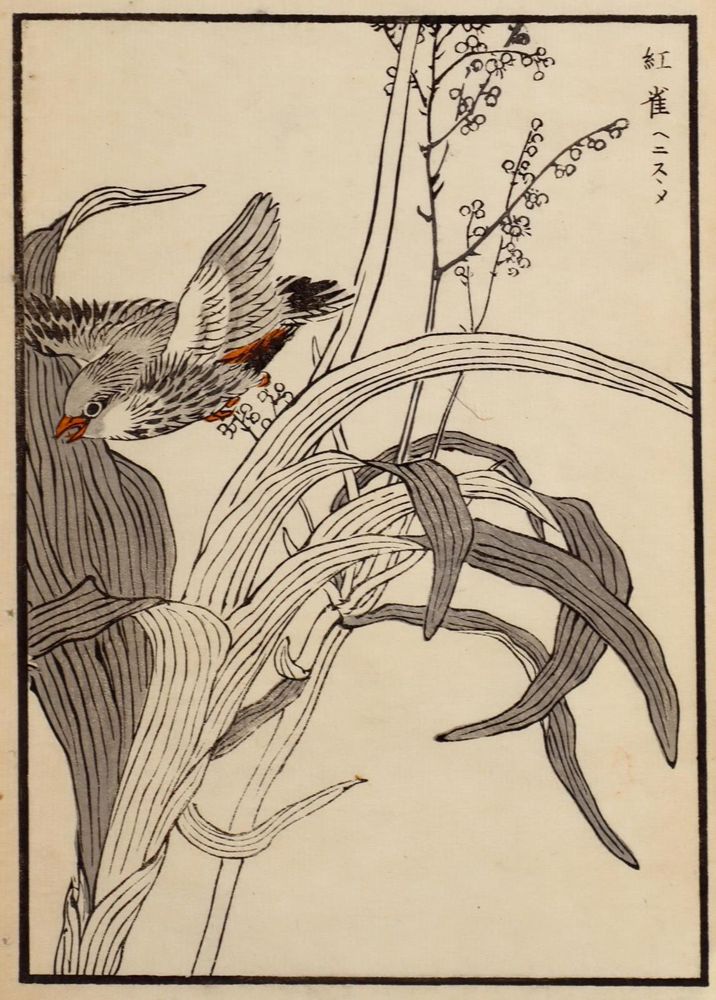 Große Abbildung Nr.1: 120-3172 Sammlung: (Künstlergraphik, Japan)