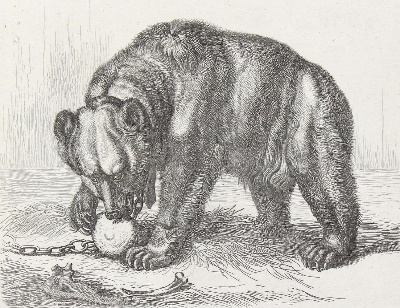 Große Abbildung Nr.2: 120-3225 Klein, Johann Adam: (Künstlergraphik)