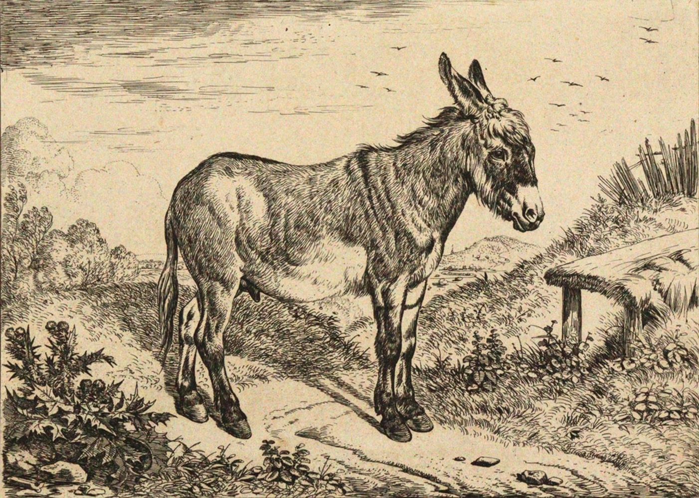 Große Abbildung Nr.1: 120-3262 Klein, Johann Adam: (Künstlergraphik)