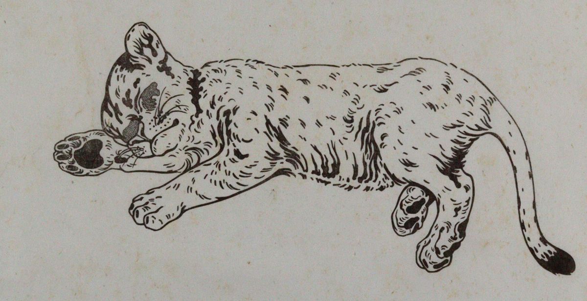 Große Abbildung Nr.1: 120-3345 Lang, Fritz: (Künstlergraphik)