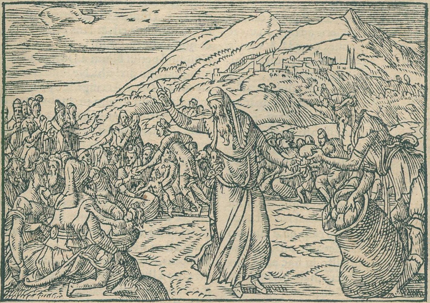 Große Abbildung Nr.3: 120-36 Biblia latina.: (Bibeln)
