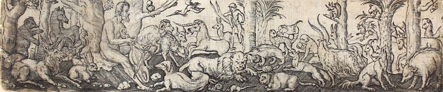 Große Abbildung Nr.1: 120-3718 Ornamente.: (Künstlergraphik, Solis)