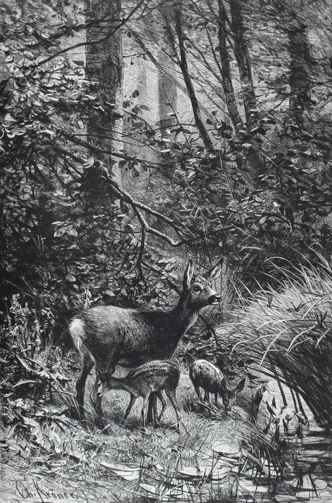 Große Abbildung Nr.1: 120-407 Corneli,R.: (Jagd)