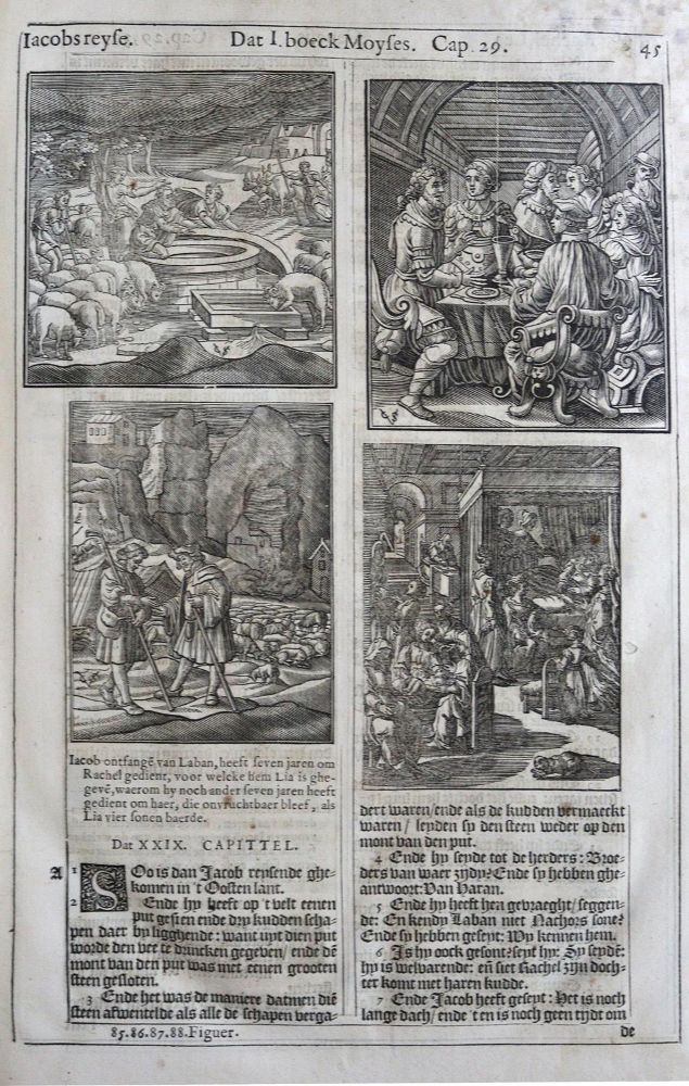Große Abbildung Nr.2: 120-41 Biblia neerlandica.: (Bibeln)