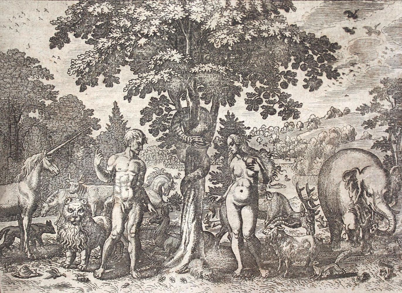 Große Abbildung Nr.1: 120-419 Coler,J.: (Küche und Haushalt, Hausväter)