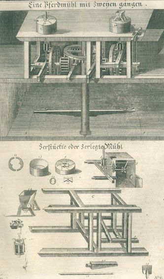 Große Abbildung Nr.1: 120-420 Florinus,F.P.: (Küche und Haushalt, Hausväter)