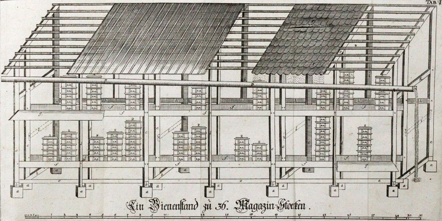 Große Abbildung Nr.1: 120-441 Christ,J.L.: (Land- und Forstwirtschaft, Tierhaltung, Imkerei)