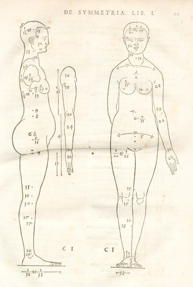 Große Abbildung Nr.2: 120-470 Dürer,A.: (Kunstwissenschaft)