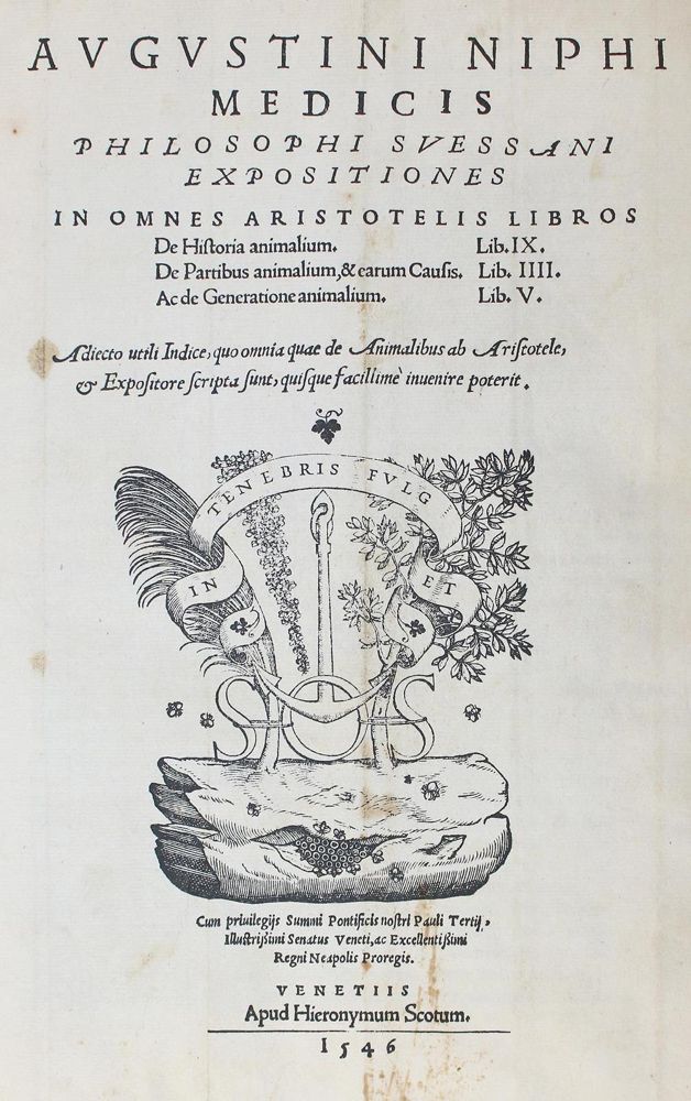 Große Abbildung Nr.2: 120-5 Nifo,A.: (Aristoteles)