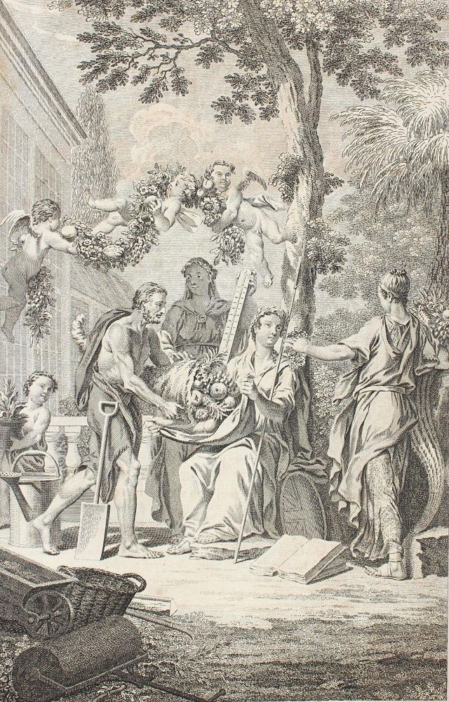 Große Abbildung Nr.1: 120-576 Miller,P.: (Lexika - Wörterbücher - Sprachwissenschaften)