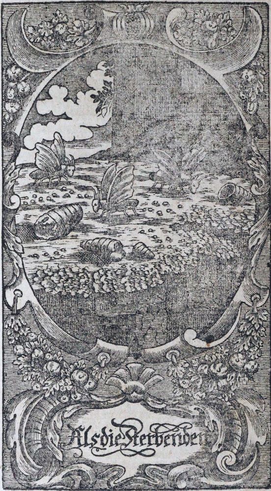 Große Abbildung Nr.1: 120-687 Arndt,J.: (Emblemata)