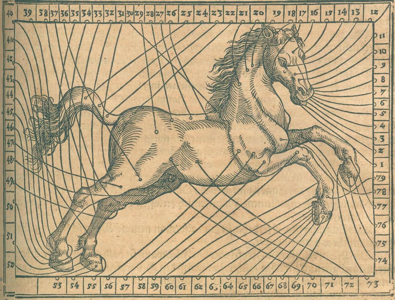 Große Abbildung Nr.2: 120-88 Estienne,C. u. J.Liebault.: (Alte Drucke, Handschriften und Theologie)