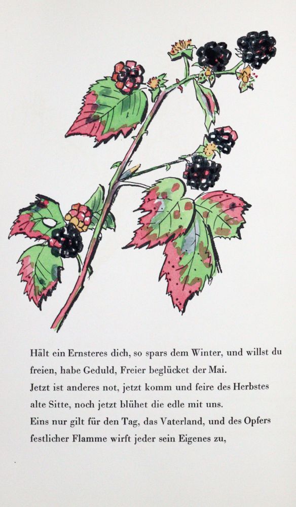 Große Abbildung Nr.1: 120-923 Schaefer-Ast,A. (Illustr.).: (Literatur und illustrierte Bücher 20.Jahrhundert - Alte Literatur in modernen Ausgaben)