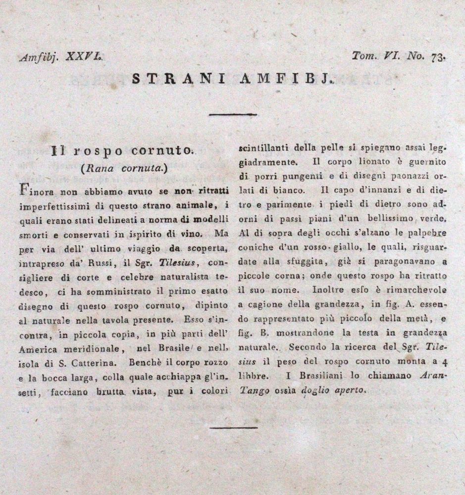 Große Abbildung Nr.2: 120-943 Butor,M.: (Vasarely)