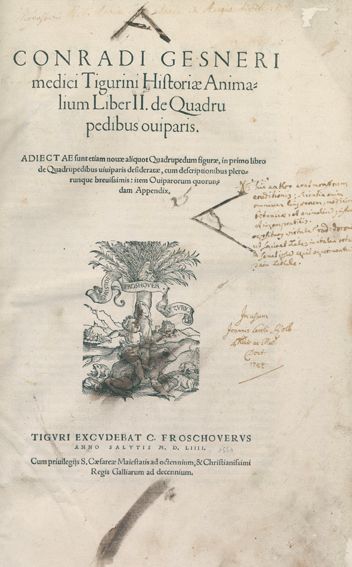 Große Abbildung Nr.1: 120-96 Gessner,C.: (Alte Drucke, Handschriften und Theologie)