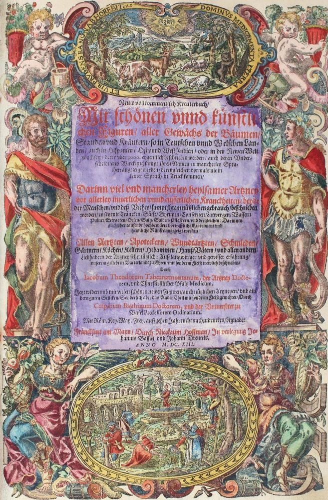 Große Abbildung Nr.1: 120-966 Tabernaemontanus,J.T.: (Botanik, Kräuterbücher)