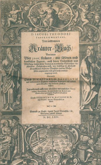 Große Abbildung Nr.1: 120-967 Tabernaemontanus,J.T.: (Botanik, Kräuterbücher)