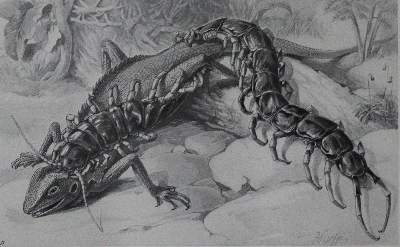 Bild Nr.1: 120-1014 Brehms Tierleben.: (Zoologie)