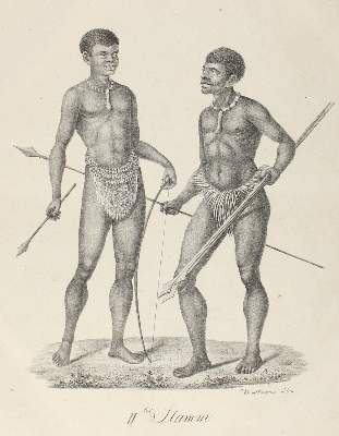 Bild Nr.1: 120-1016 Brodtmann,J.: (Zoologie)