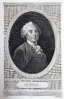Bild Nr.2: 120-1021 Lacepede,(B.G.)de.: (Zoologie, Buffon)