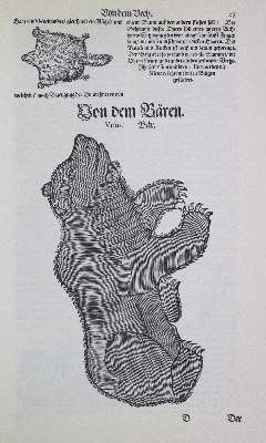 Bild Nr.1: 120-1039 Gessner,C.: (Zoologie)