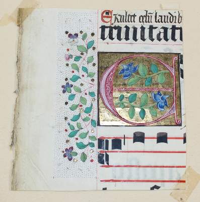 Bild Nr.7: 120-104 Antiphonar.: (Handschriften)