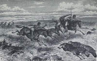 Bild Nr.1: 120-1046 Konvolut: (Zoologie)