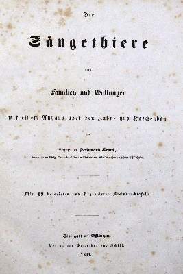 Bild Nr.1: 120-1049 Krauß,F.: (Zoologie)