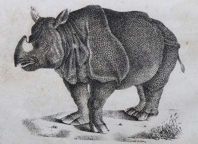 Bild Nr.1: 120-1051 Naturgeschichte in getreuen Abbildungen, Die,: (Zoologie)