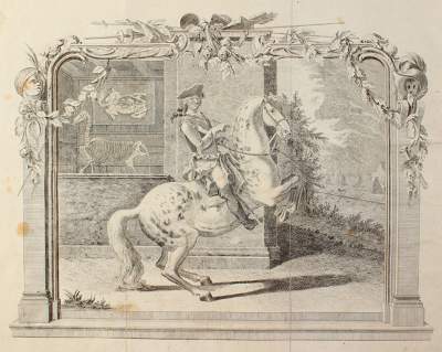 Bild Nr.1: 120-1055 Sind,(J.B.).v.: (Zoologie, Pferde)