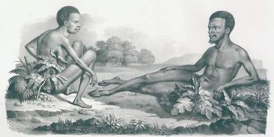 Bild Nr.1: 120-1059 Schinz,H.R.: (Zoologie)