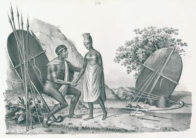 Bild Nr.3: 120-1059 Schinz,H.R.: (Zoologie)