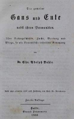 Bild Nr.1: 120-1071 Buhle,C.A.: (Zoologie, Vögel)