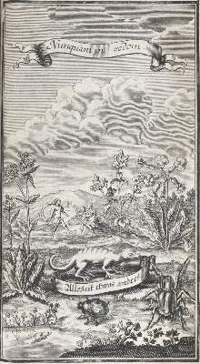 Bild Nr.1: 120-1082 (Acxtelmeier,S.R.).: (Verschiedene Gebiete - Varia)