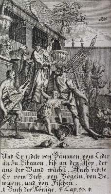 Bild Nr.2: 120-1116 Konvolut: (Verschiedene Gebiete - Varia)