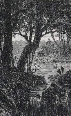 Bild Nr.1: 120-1119 Konvolut: (Verschiedene Gebiete - Varia)