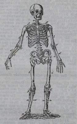 Bild Nr.1: 120-1121 Kottenkamp,F. (Übers.).: (Verschiedene Gebiete - Varia)