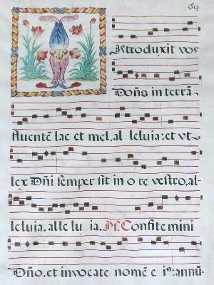 Bild Nr.1: 120-115 Initialie I.: (Handschriften)